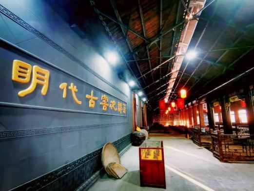 阜阳金种子文化产业园