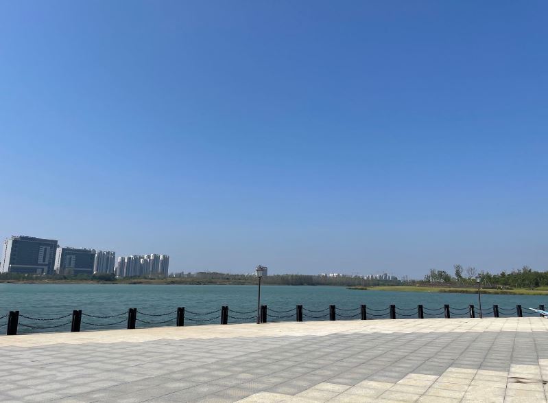 合肥少荃湖湿地公园
