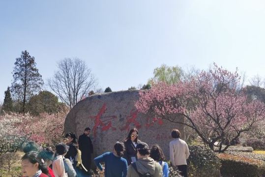 蚌埠梅花山