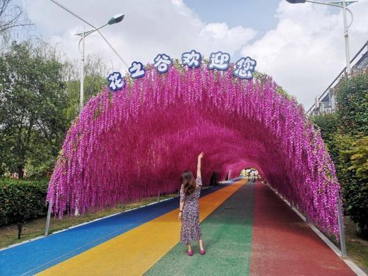 利辛花之谷运动探险乐园
