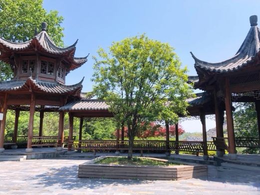 铜陵市铜官山森林公园