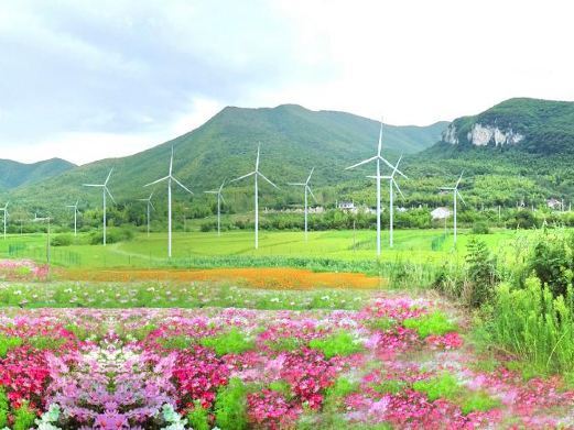 广德五色谷萌宠乐园