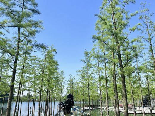 合肥磨滩旅游度假区