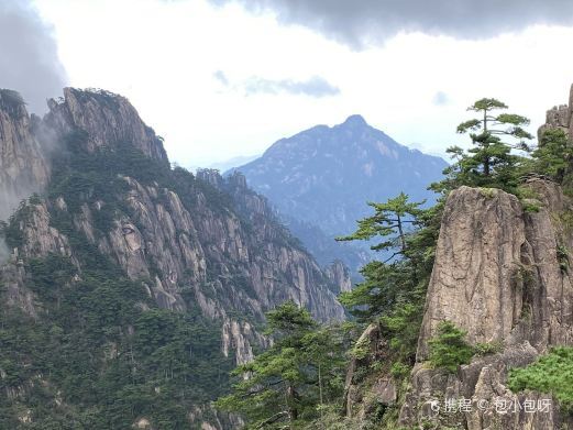 黄山北海景区-团结松