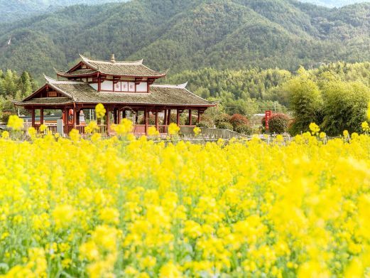 古田崎岭禅寺