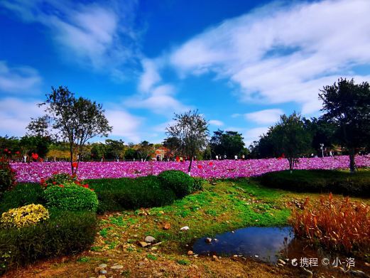 厦门香山公园