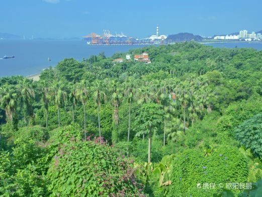 厦门华侨亚热带植物引种园