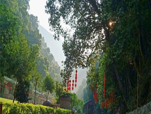 安溪桫椤谷风景区