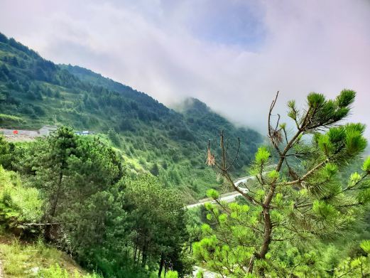 礼县陇南香山自然保护区