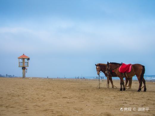 湛江龙海天沙滩