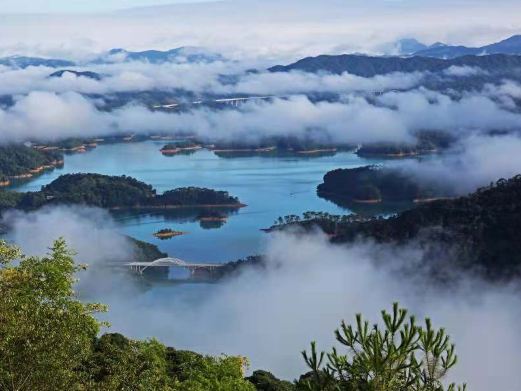 广州流溪河国家森林公园