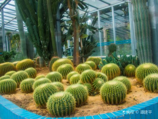 湛江南亚热带植物园