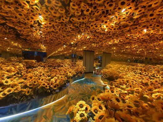 广州梵高星空艺术馆(天宜广场店)