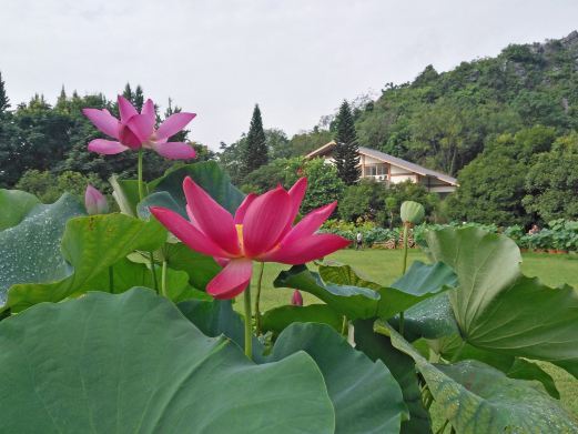 桂林西山景区