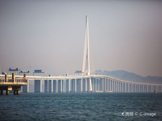 深圳湾大桥
