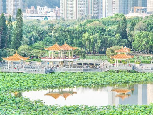 深圳洪湖公园