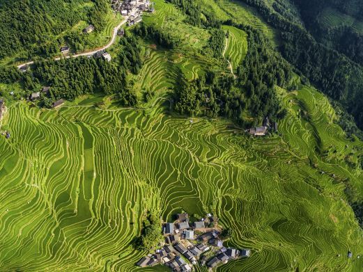 靖西巴泽梯田