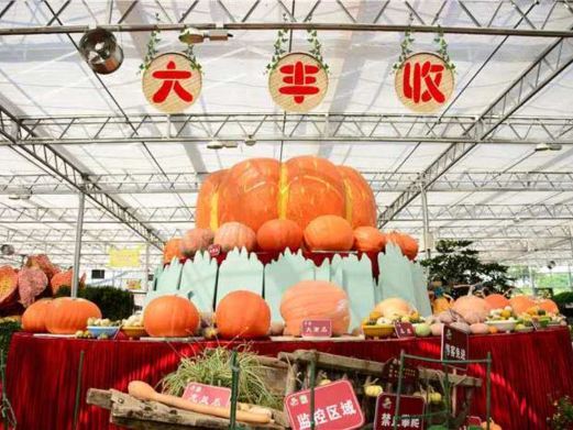 玉林五彩田园农业嘉年华
