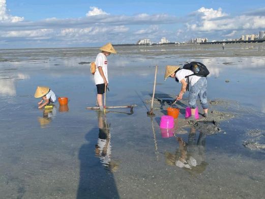 北海红树林天天赶海集散点