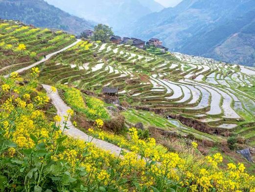 灵川小平乐村