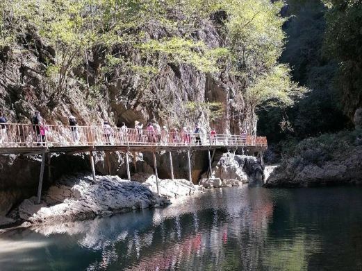 融安红茶沟森林公园