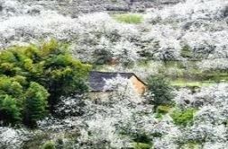 灌阳七里坪
