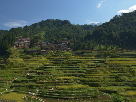 融水贝江风景区