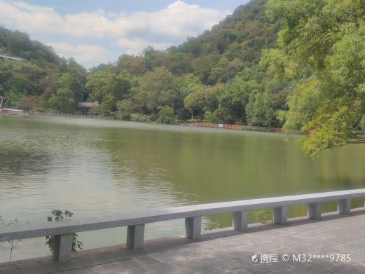 桂林芦笛景区-芳莲池