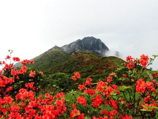 贺州天堂顶