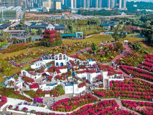 南宁叶子花园