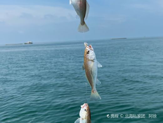 北海海钓