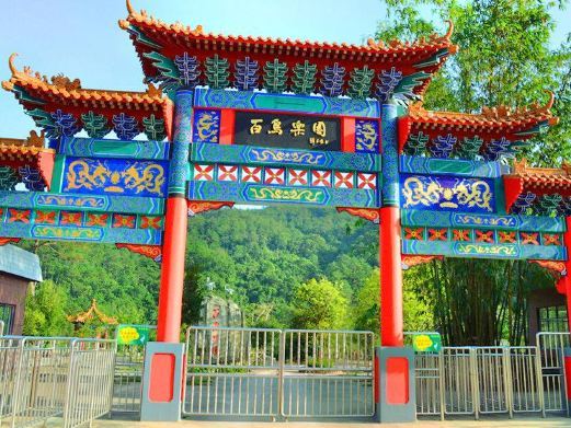 上思百鸟乐园