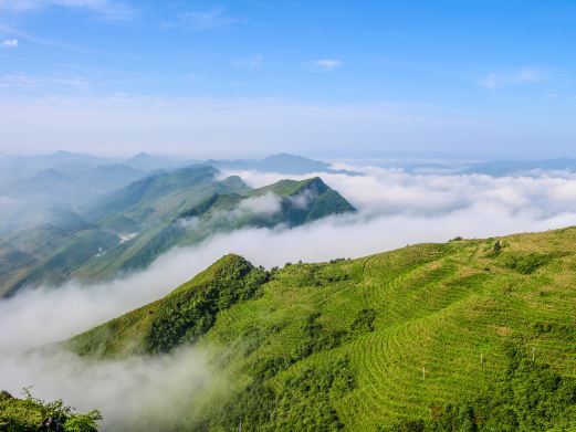 贵定阳宝山旅游度假区