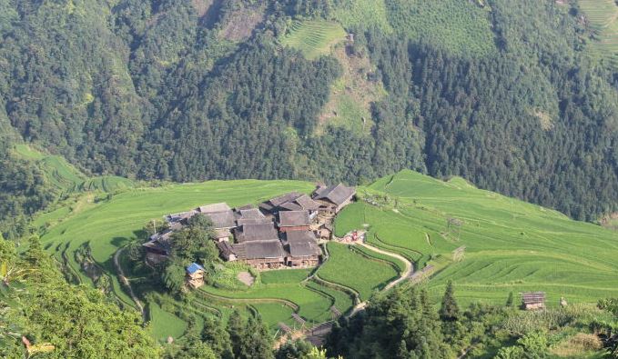 凯里加鸠梯田
