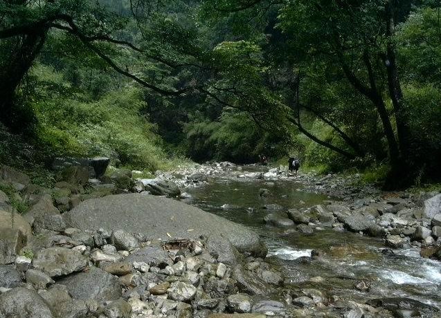 金沙冷水河自然保护区