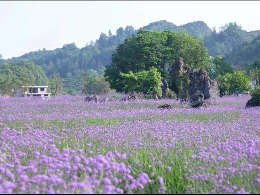 兴义乌沙贵州龙景区