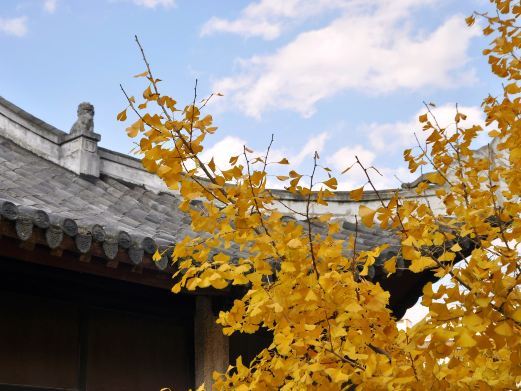 安顺圆通寺