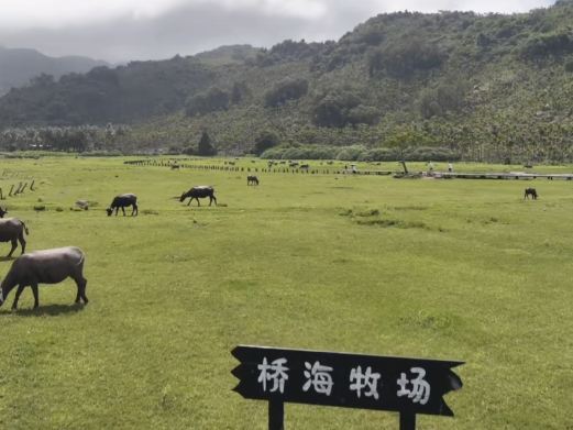 万宁桥海村