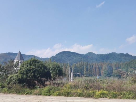 安顺旧州花海
