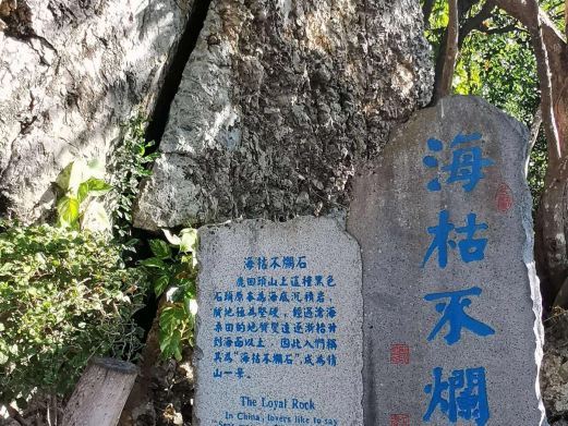 三亚海枯不烂石