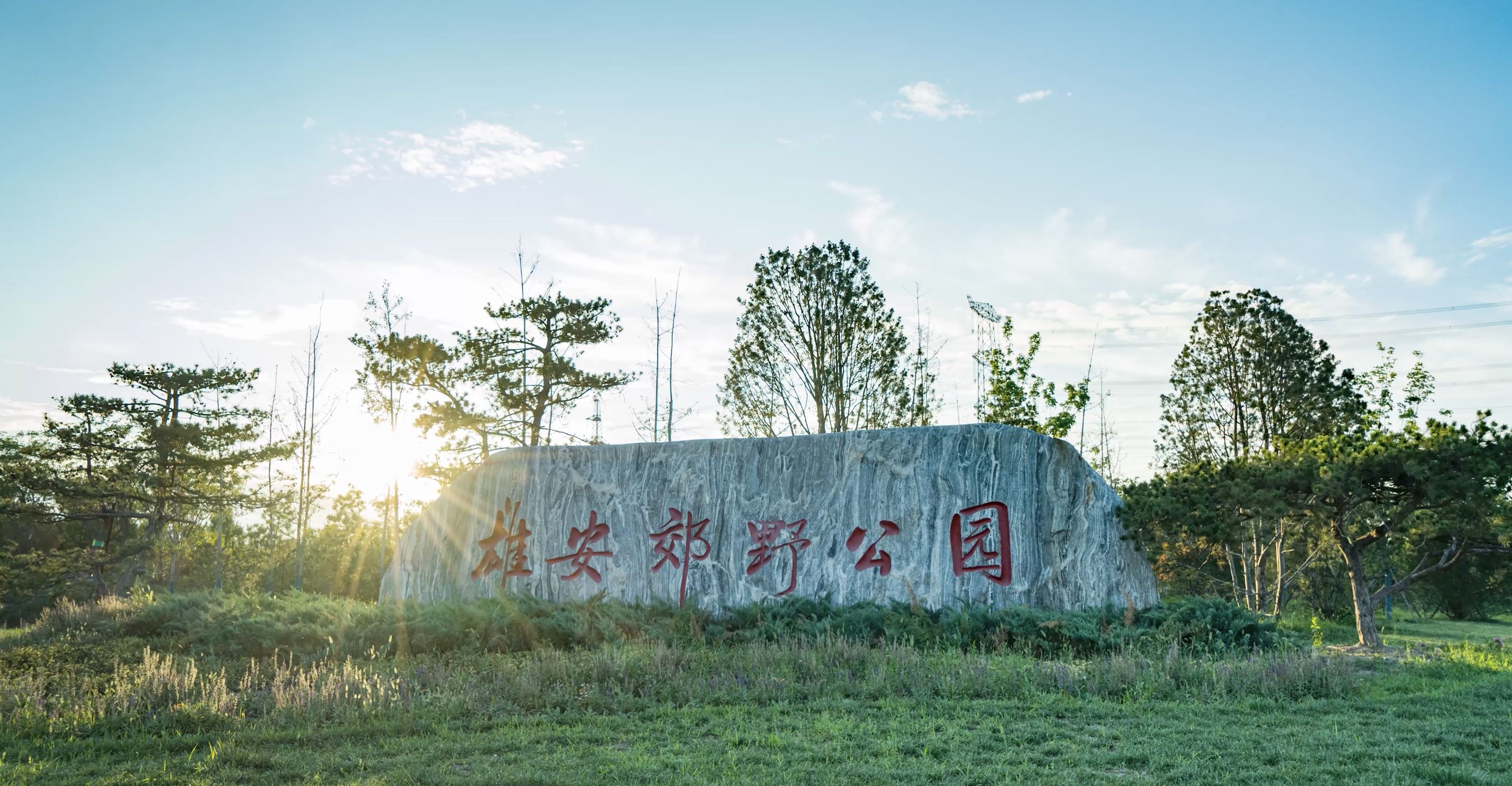 容城雄安郊野公园