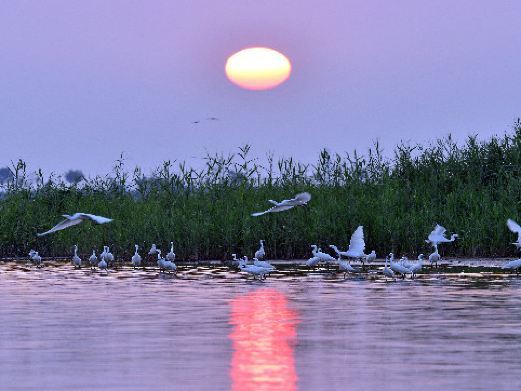 衡水湖湿地公园