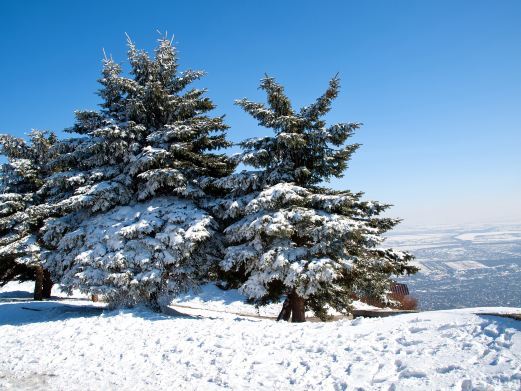 五常雪谷