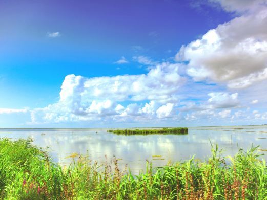 密山兴凯湖湿地公园