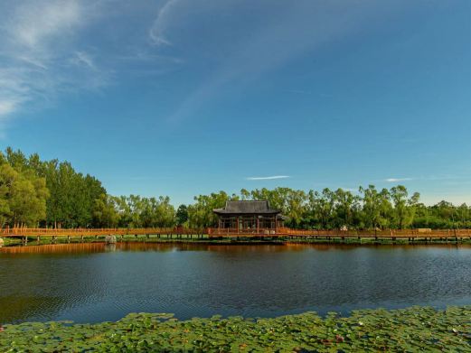 哈尔滨绿山川阳光农场&营地 Farm&Glamping