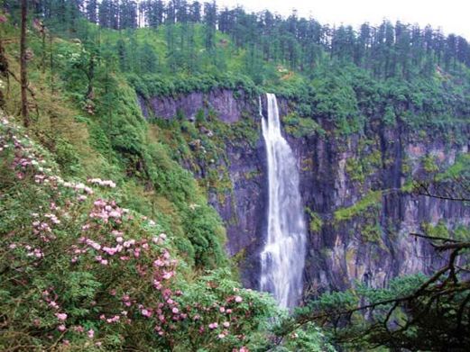 鹤岗金顶山国家森林公园