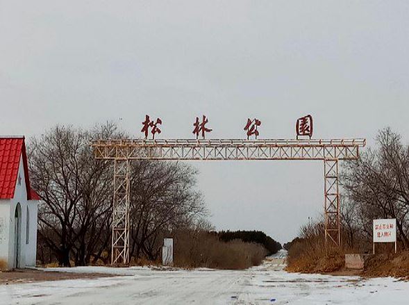 杜尔伯特松林公园