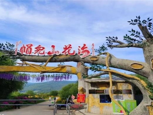 尚志帽儿山花海