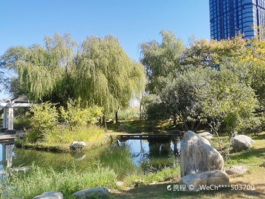郑州郑东新区湿地公园
