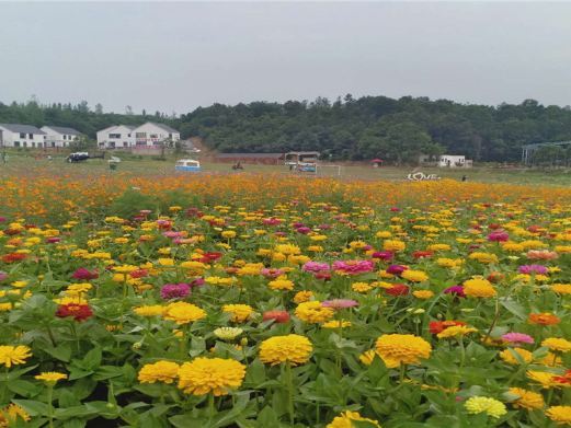 信阳多彩田园龙熙谷